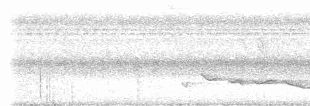 Зернолуск білогорлий - ML615920564