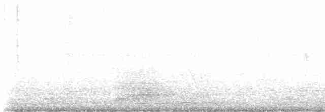 Weißschwanz-Nachtschwalbe - ML615920584