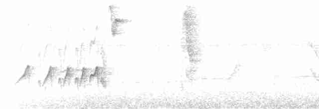 Тиран-крихітка темноголовий - ML615921483