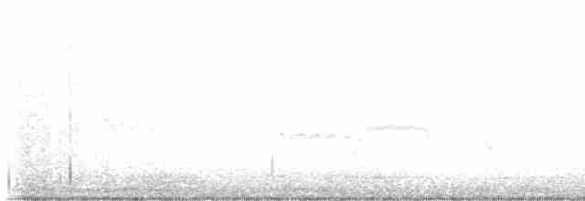 Kara Karınlı Kumkuşu - ML615921541