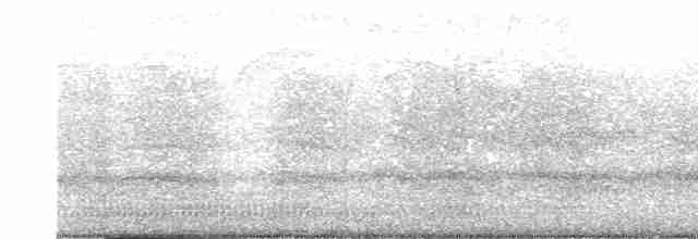 Ара синьокрилий - ML615924236
