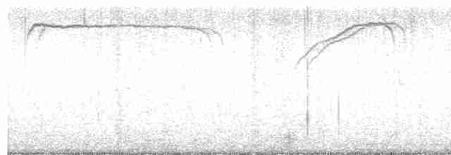 alkoun holubí - ML615925175
