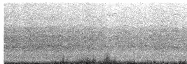 Sterne hirundinacée - ML615927523