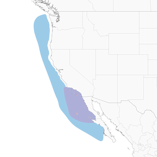 Distribution of the Guadalupe Murrelet - Range Map