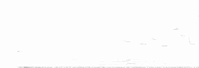 Doğulu Tarlasığırcığı - ML615930338