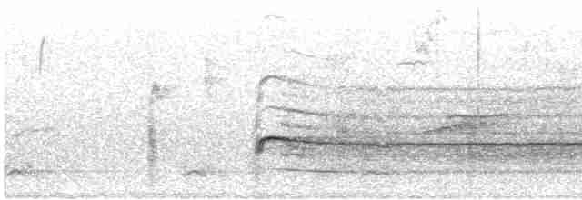 Краснохвостый канюк (borealis) - ML615933466