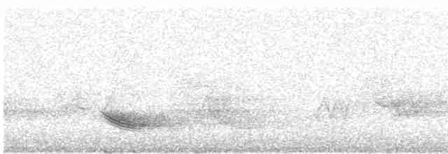 Дрізд-короткодзьоб бурий - ML615937049