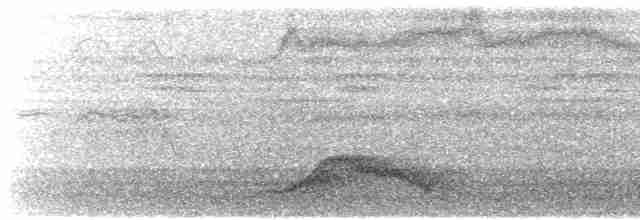 Pauraquenachtschwalbe - ML615938549