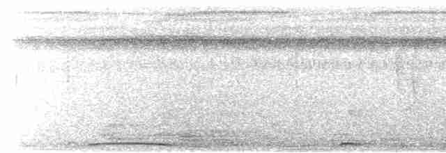 holub neotropický - ML615939325