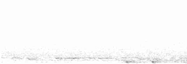Сова плямиста - ML615940209
