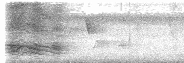 Tüpfellaubenvogel - ML615941523