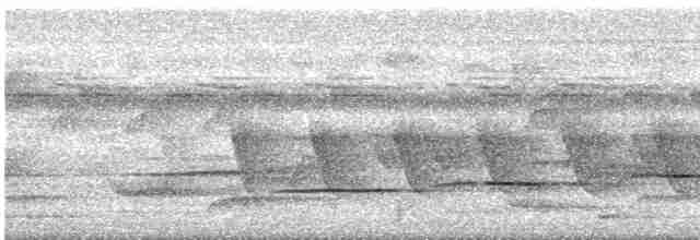 Tordina Coronioscura - ML615943550