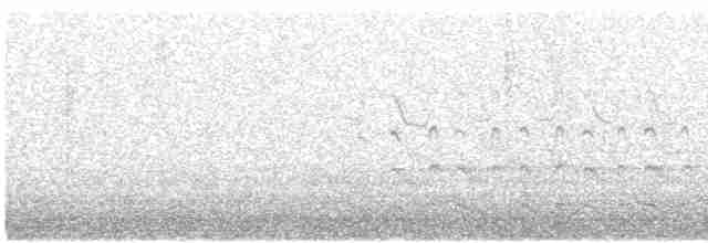 Black-tailed Godwit - ML615945765