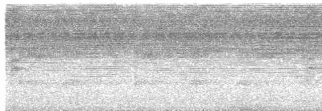 Great Tinamou - ML615947206
