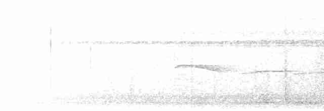 Тиранчик-тонкодзьоб південний - ML615948359