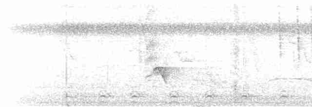 Slaty-tailed Trogon - ML615948401