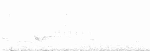 European Greenfinch - ML615948725
