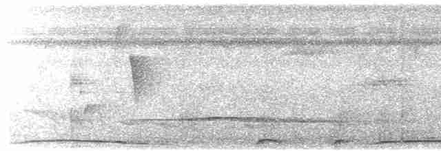 Little Tinamou - ML615949000