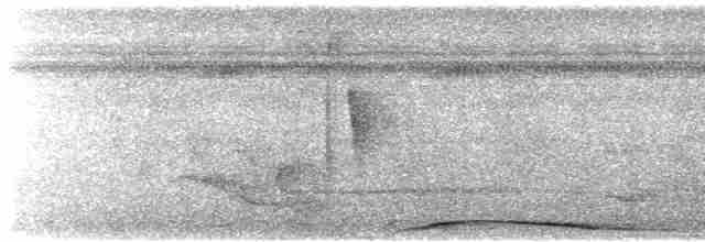 holub neotropický - ML615949001