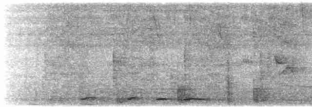Kısa Gagalı Kızılca Güvercin - ML615949019
