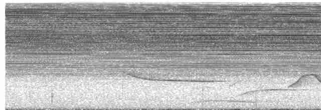 Troglodyte coraya - ML615950659