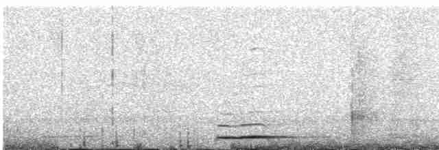 蘭嶼角鴞 - ML615951201
