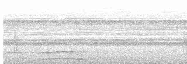 holub šedočelý - ML615951308