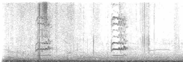 Gila Ağaçkakanı - ML615952299