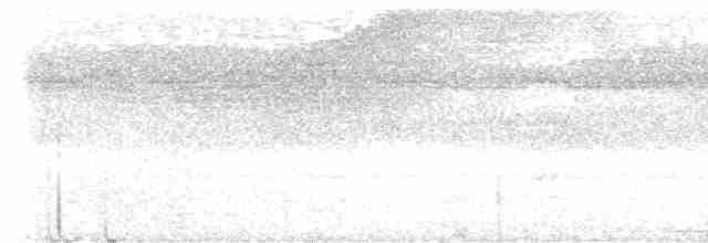 Pembe Karınlı Has Güvercin - ML615952651