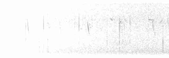 Chevêchette australe - ML615953466