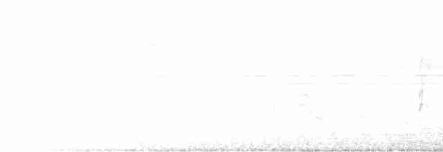 Kara Gerdanlı Saltator - ML615954572