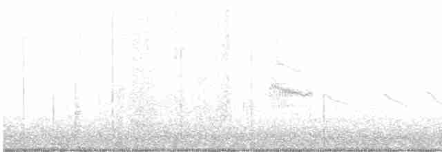 Field Sparrow - ML615954651