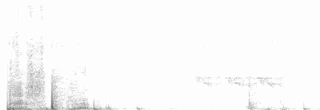 Зелёный сорокопутовый виреон - ML615955471
