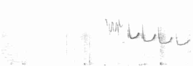 Scrub Warbler (Eastern) - ML615955548