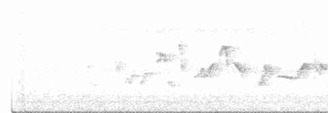 Graumantel-Brillenvogel - ML615960364