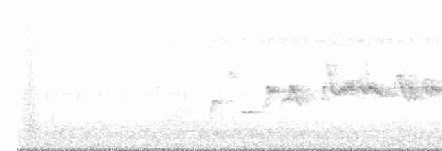 Graumantel-Brillenvogel - ML615960372