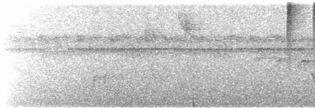 Колібрі-лісовичок буроголовий - ML615962548