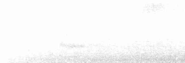 Гребенечуб андійський - ML615962724