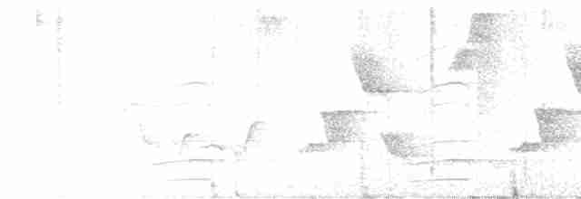 Toucan montagnard - ML615962782