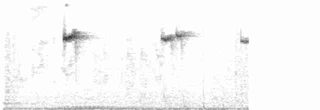 kolibřík blankytohrdlý - ML615962904