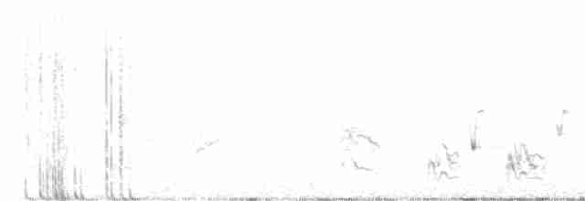 Kıvrık Gagalı Çöpçü - ML615963052