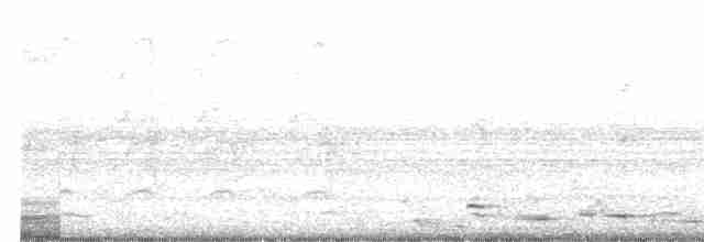 Avustralya Saksağanı - ML615963619