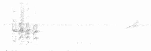 Weißbinden-Ameisenvogel - ML615964585
