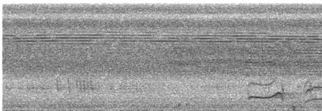 Pic ondé (groupe grammicus) - ML615965533