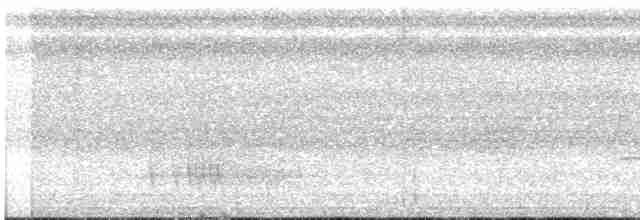 riflingspett (grammicus gr.) - ML615966141