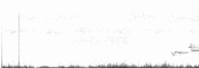 Cosifa de Rüppell - ML615969734