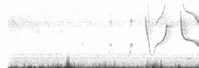 Long-tailed Meadowlark - ML615970487