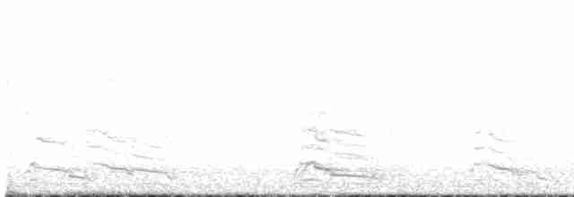 キアシセグロカモメ（atlantis） - ML615971298