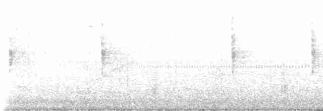 Трясогузковый певун - ML615972462