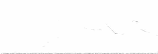 Doğulu Tarlasığırcığı - ML615973250